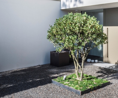 EFH Neubau Aarau7