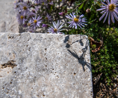 Gartengestaltung Schwimmbad Solothurn4