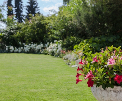 Vorher Nacher Gartenumaenderung Grenchen4