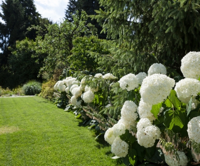 Vorher Nacher Gartenumaenderung Grenchen8